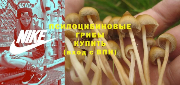 прущие крисы Сафоново